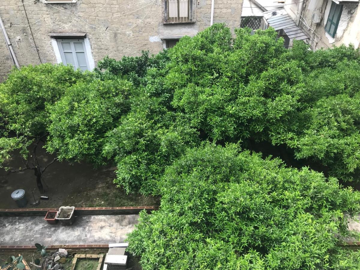 Regy Bed & Breakfast Napoli Dış mekan fotoğraf